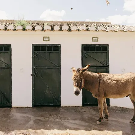 La Bobadilla, A Royal Hideaway Hotel 5*