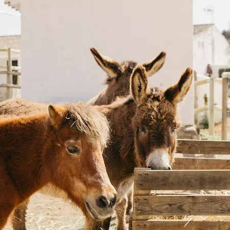 La Bobadilla, A Royal Hideaway 5* Villanueva de Tapia